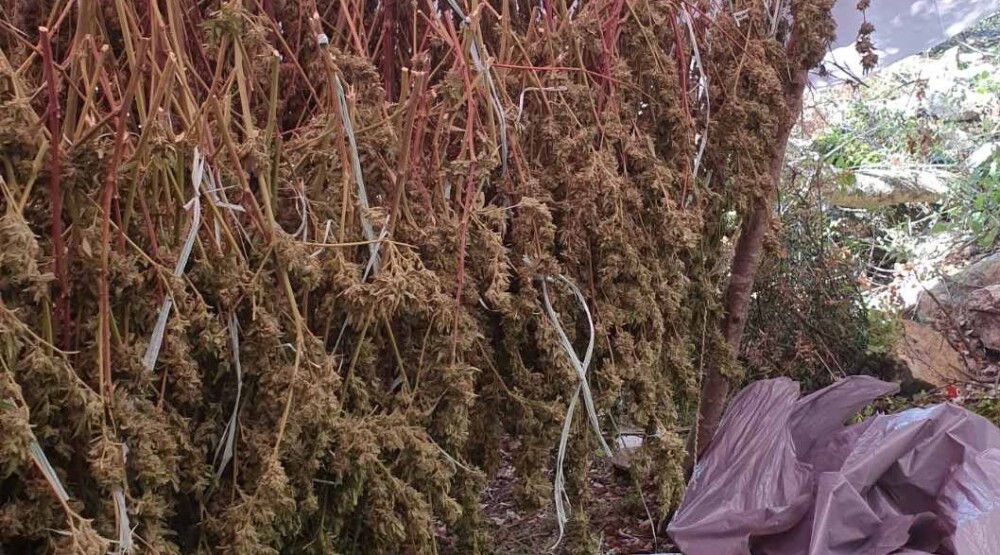 FeTcEoBWQAA9aF 1000x555